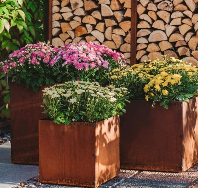 info-531-503 info-531-503