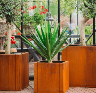 info-394-381 info-394-381